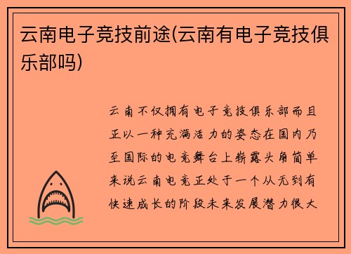 云南电子竞技前途(云南有电子竞技俱乐部吗)